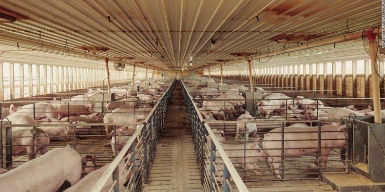 McDonald’s exec: The Covid-19 meat shortages taught us all an important