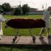 US coronavirus: Test results lag as cities and states face crucial