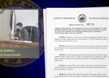 Council Votes To Help Small Businesses During Pandemic