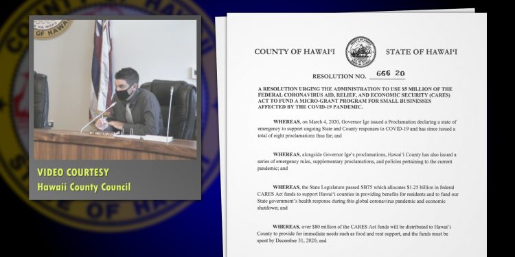 Council Votes To Help Small Businesses During Pandemic