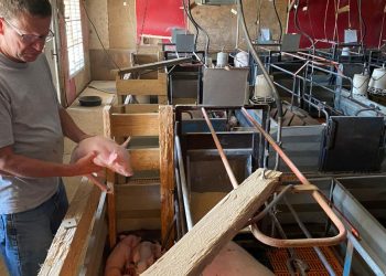 Coronavirus ‘collateral damage’ hits U.S. rural power providers | Local