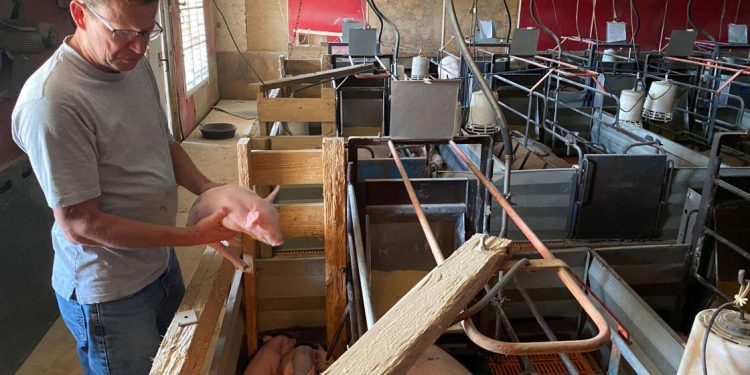 Coronavirus ‘collateral damage’ hits U.S. rural power providers | Local