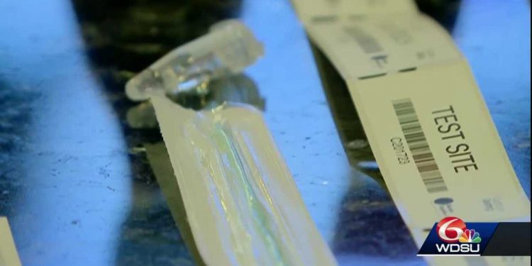 Ponchatoula-based company provides rapid COVID-19 testing for businesses