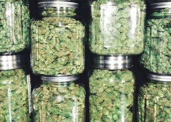 The New Cannabis: Better Stocks to Buy for the Upside