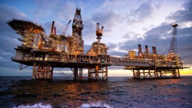 Photo of Oil rises in price due to limited supply, restoration of risk appetite.
