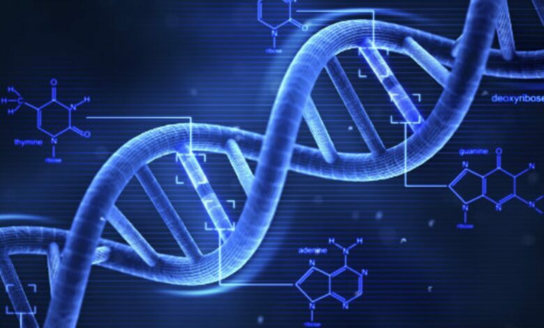 Photo of Biotech Codex DNA has made a big deal: shares have risen in price