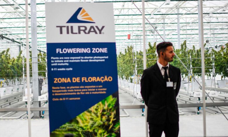 Photo of Tilray shares rose 13.5% after the report on sales growth and expansion plans in Europe