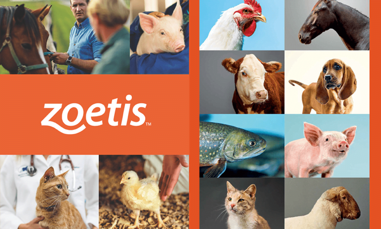 Photo of What are the medicines and prospects of Zoetis, a manufacturer of animal products?