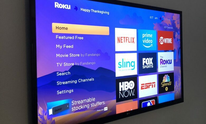 Photo of There were rumors that Roku and Netflix might join forces, and this made the stock price go up by 9 percent